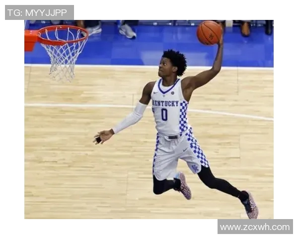 德阿隆福克斯的崛起之路与未来展望：从新秀到球队核心的蜕变